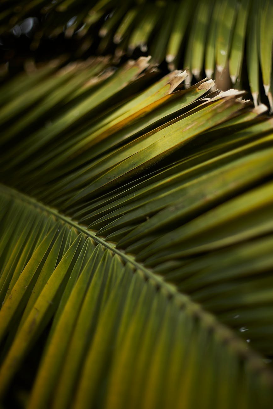 Post media